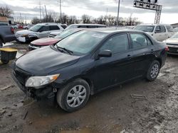 Toyota salvage cars for sale: 2010 Toyota Corolla Base