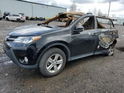 Salvage cars for sale at Portland, OR auction: 2013 Toyota Rav4 XLE