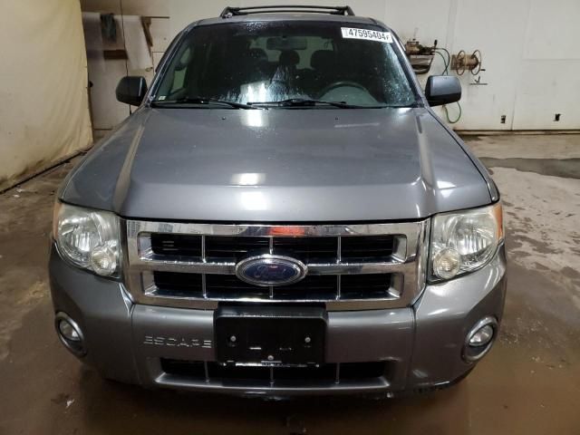 2009 Ford Escape XLT