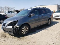 Honda Odyssey ex salvage cars for sale: 2010 Honda Odyssey EX