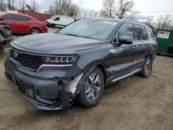 Salvage cars for sale at Baltimore, MD auction: 2021 KIA Sorento EX