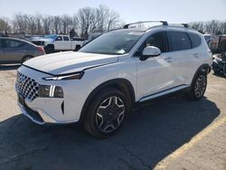Salvage cars for sale at Rogersville, MO auction: 2023 Hyundai Santa FE Limited