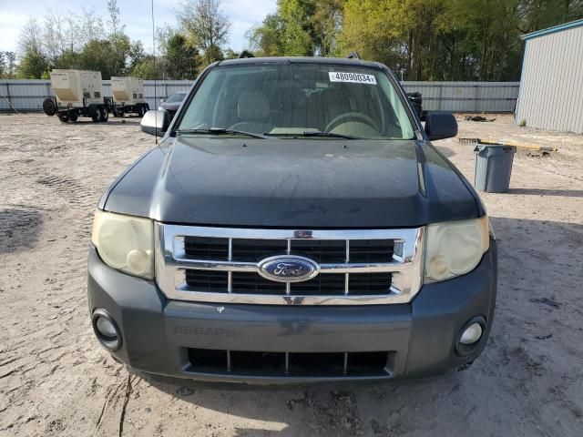 2008 Ford Escape XLT