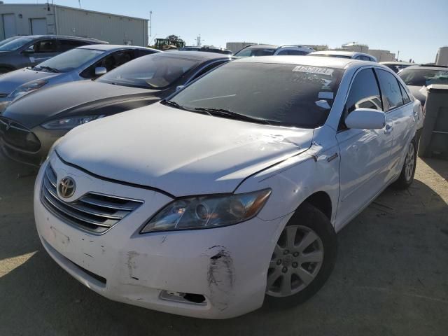 2008 Toyota Camry Hybrid