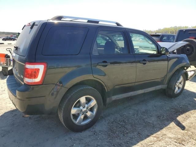 2011 Ford Escape Limited