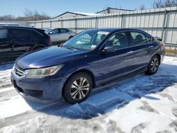 Vehiculos salvage en venta de Copart Albany, NY: 2013 Honda Accord LX