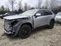 Salvage cars for sale at Waldorf, MD auction: 2023 Toyota Rav4 SE