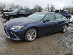 Salvage cars for sale at Baltimore, MD auction: 2019 Lexus ES 300H
