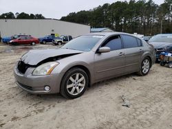 Salvage cars for sale at Seaford, DE auction: 2006 Nissan Maxima SE