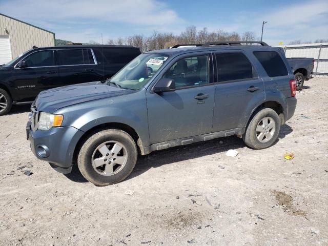 2011 Ford Escape XLT