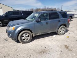 Salvage cars for sale from Copart Lawrenceburg, KY: 2011 Ford Escape XLT