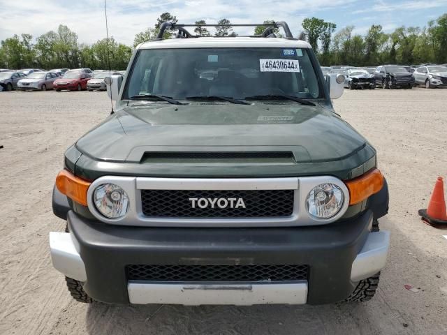 2010 Toyota FJ Cruiser