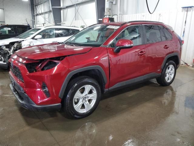 2020 Toyota Rav4 XLE