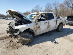 Salvage SUVs for sale at auction: 2017 Dodge RAM 1500 Sport