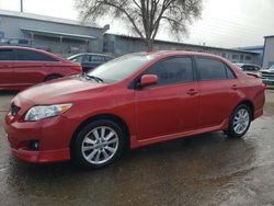 Salvage cars for sale at Albuquerque, NM auction: 2010 Toyota Corolla Base