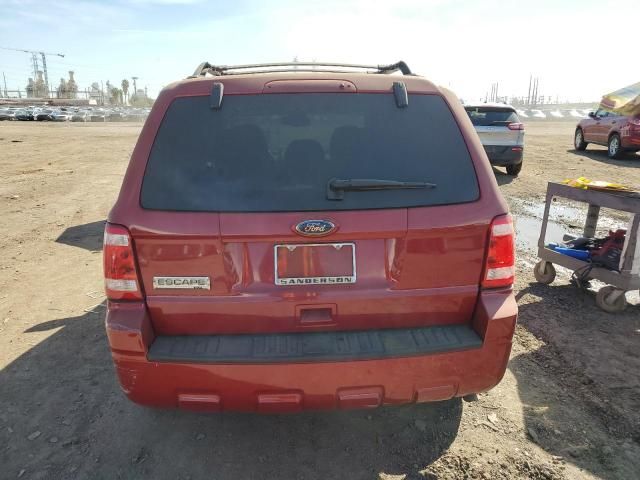 2010 Ford Escape XLT