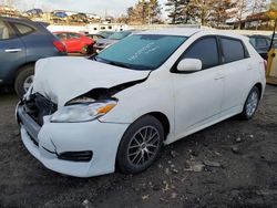 Salvage cars for sale at New Britain, CT auction: 2009 Toyota Corolla Matrix