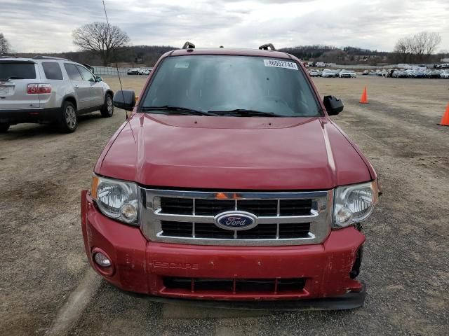 2010 Ford Escape XLT