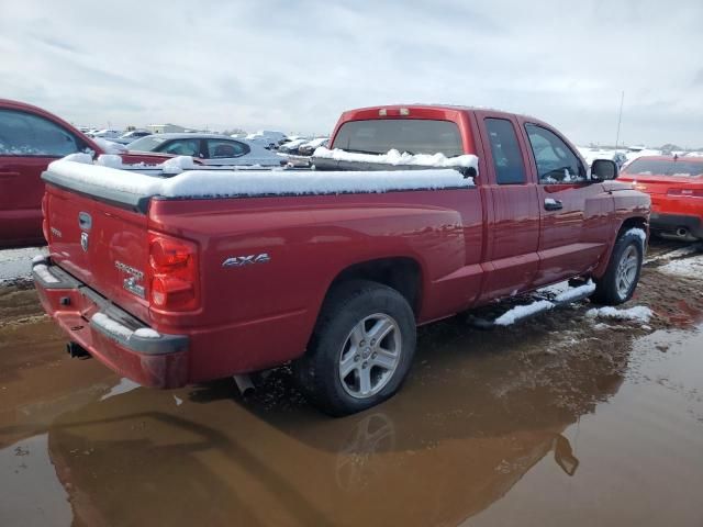 2010 Dodge Dakota SXT