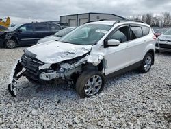 Salvage cars for sale at Wayland, MI auction: 2013 Ford Escape SE