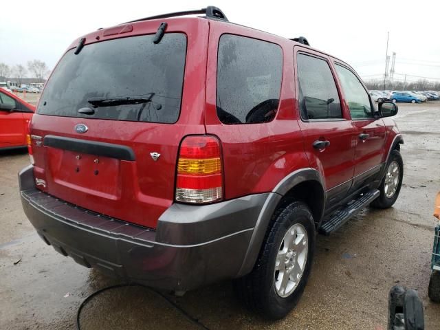 2006 Ford Escape XLT