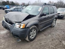 Salvage cars for sale at Madisonville, TN auction: 2004 Ford Escape XLT