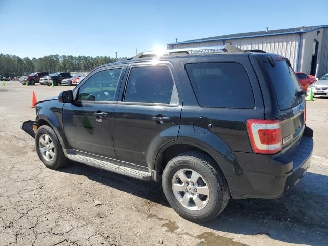 2011 Ford Escape Limited