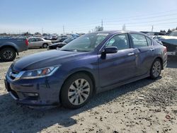 2014 Honda Accord EXL en venta en Eugene, OR