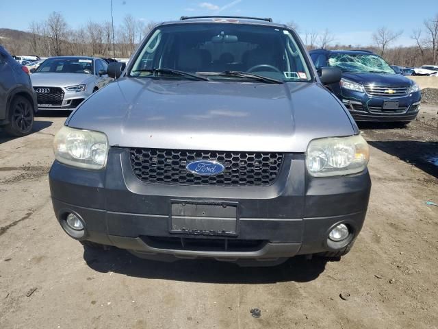 2007 Ford Escape XLT