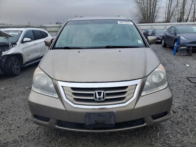 2010 Honda Odyssey EXL