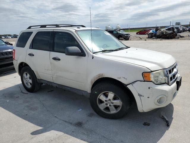 2009 Ford Escape XLT