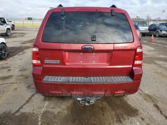 2008 Ford Escape XLT