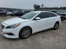 Salvage cars for sale at Harleyville, SC auction: 2016 Hyundai Sonata SE