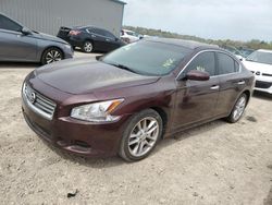 Salvage cars for sale from Copart Midway, FL: 2014 Nissan Maxima S