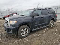 Toyota Sequoia salvage cars for sale: 2013 Toyota Sequoia SR5