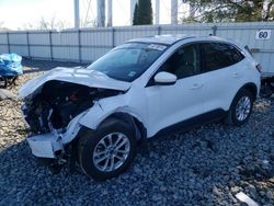 Ford Escape SE salvage cars for sale: 2020 Ford Escape SE