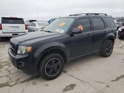 Ford salvage cars for sale: 2011 Ford Escape XLT