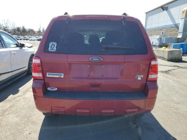 2010 Ford Escape XLT