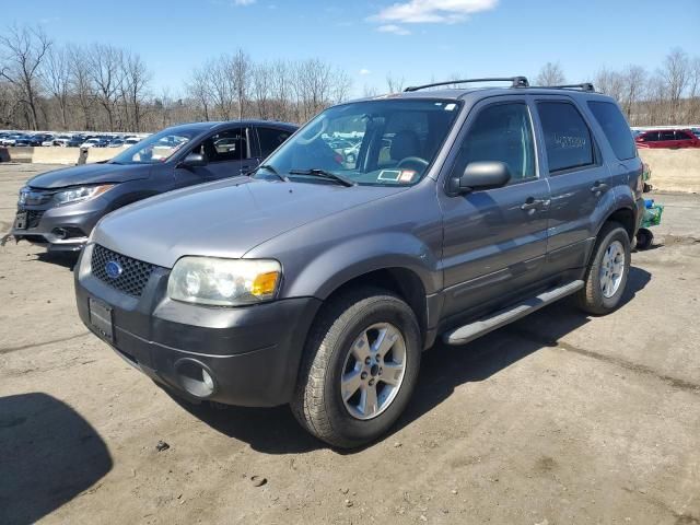 2007 Ford Escape XLT