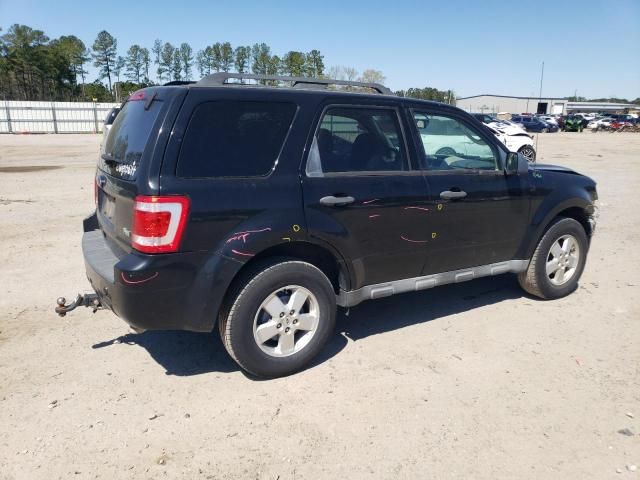 2010 Ford Escape XLT