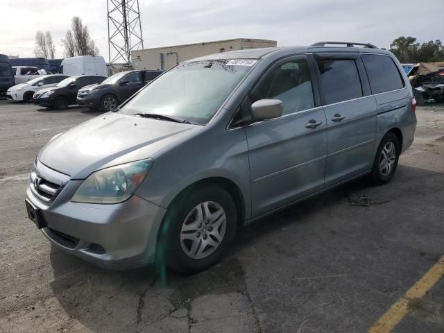 2006 Honda Odyssey EXL