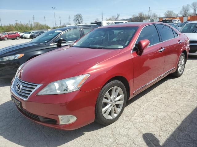 2010 Lexus ES 350