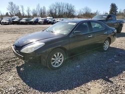 Lexus salvage cars for sale: 2003 Lexus ES 300