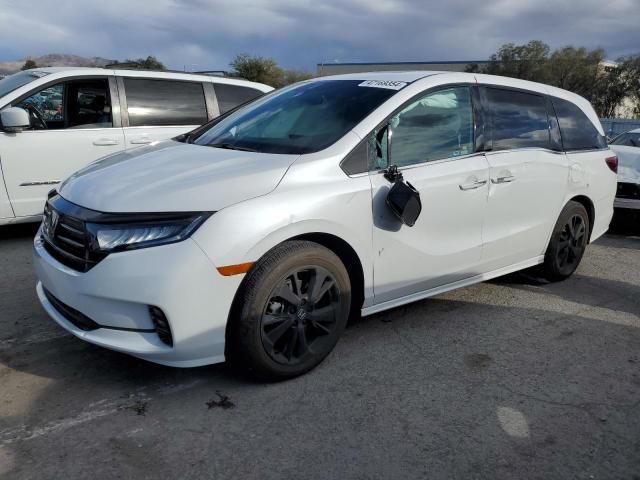 2023 Honda Odyssey SPORT-L