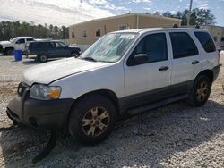 Salvage cars for sale at Ellenwood, GA auction: 2006 Ford Escape XLT