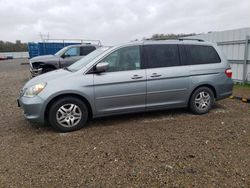 Honda salvage cars for sale: 2007 Honda Odyssey EXL