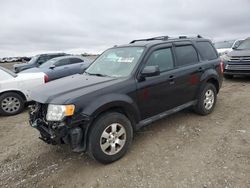 Salvage cars for sale at Earlington, KY auction: 2012 Ford Escape Limited