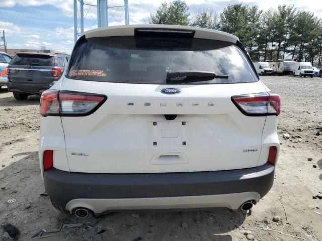 2022 Ford Escape SEL