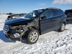 Salvage cars for sale from Copart Rocky View County, AB: 2018 Ford Escape SEL