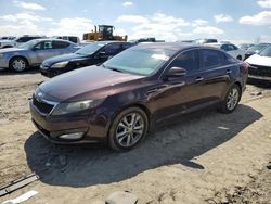 Salvage cars for sale at Earlington, KY auction: 2013 KIA Optima EX